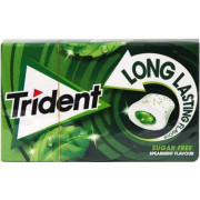 TRIDENT LONG-LASTING Δυόσμος (ΠΡΑΣΙΝΟ)